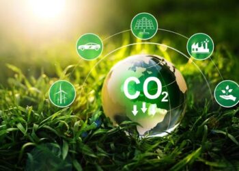 México, en riesgo de caer en demagogia climática: Alejandra Lagunes
