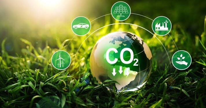 México, en riesgo de caer en demagogia climática: Alejandra Lagunes