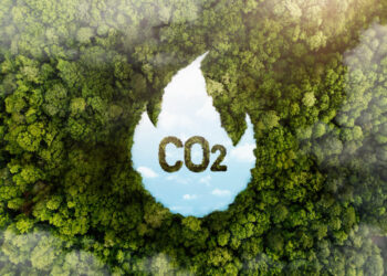 Bain & Company y Schneider Electric unidos a favor de la descarbonización