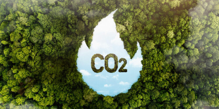 Bain & Company y Schneider Electric unidos a favor de la descarbonización