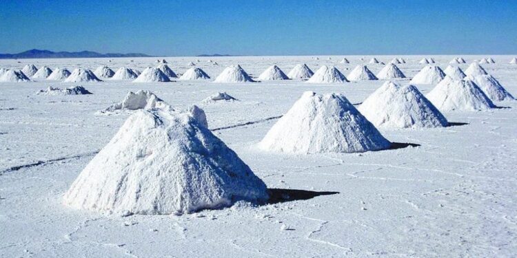 estatuto organico litio mexico