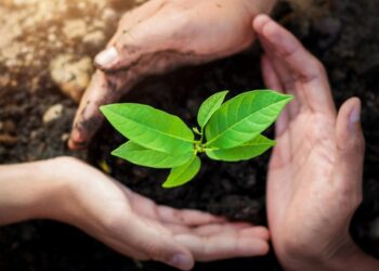 inversion social wen