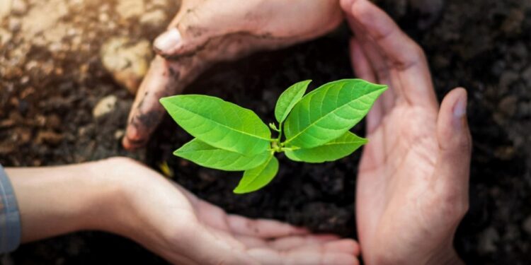 inversion social wen