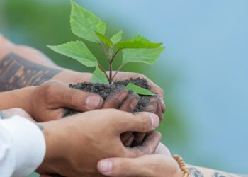 Menos de 5% de las empresas en Latinoamérica miden su huella de carbono