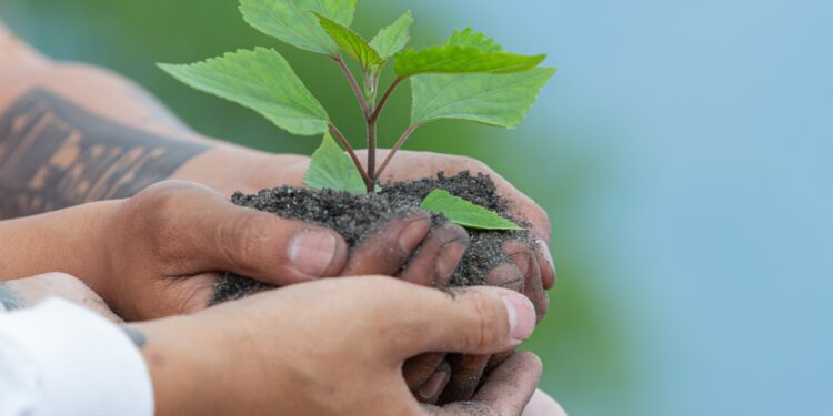 Menos de 5% de las empresas en Latinoamérica miden su huella de carbono