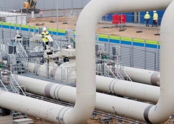 ombudsman energia gas natural importaciones