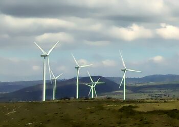 iberdrola estados financieros