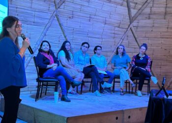 icm gflac descarbonizacion