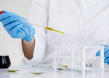 investigacion desarrollo punta lanza crecer