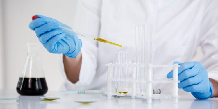 investigacion desarrollo punta lanza crecer