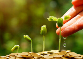 Scotiabank lanza convocatoria financiar proyectos verdes a través del Net-Zero Research Fund