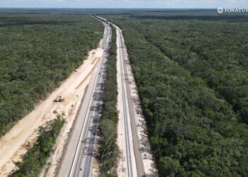 tren maya cfe electrificacion