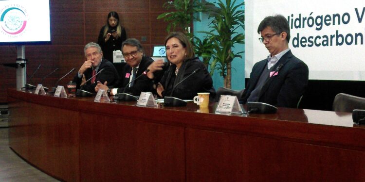 xochitl galvez hidrogeno israel hurtado senado