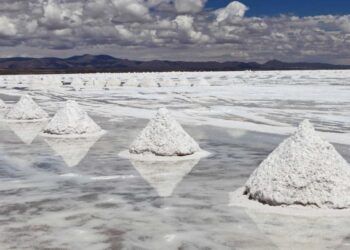 1 argentina nacionalizar litio