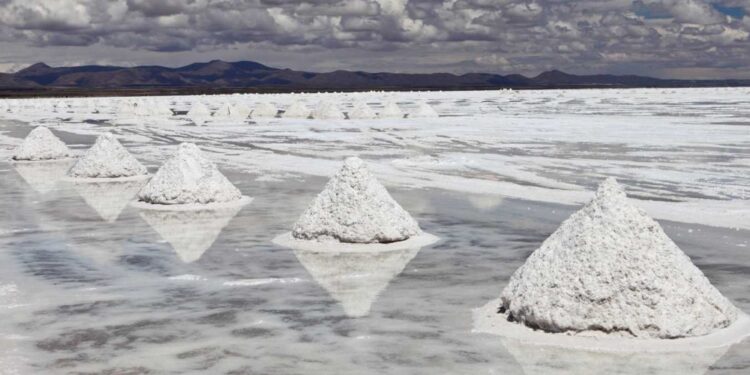 1 argentina nacionalizar litio