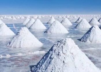 Convocan a diplomados de la cadena de valor del litio