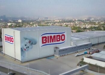 bimbo bono sustentable