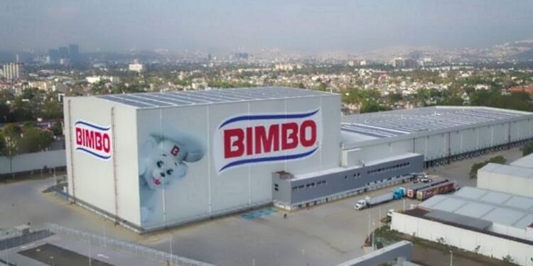 bimbo bono sustentable