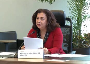 cre norma leticia campos cogeneracion
