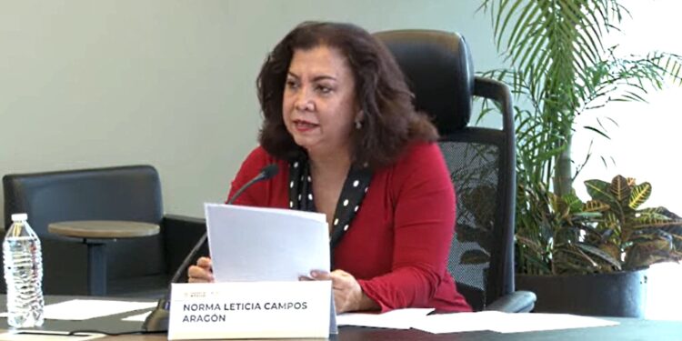 cre norma leticia campos cogeneracion