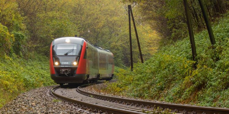 tren maya transismico