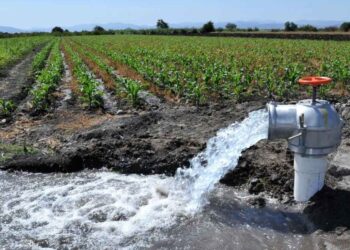 1 diputados energía limpia apagones riego agricola