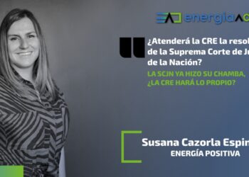1 susana cazorla - scjn acuerdo regulacion asimetrica