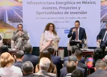 No estamos peleados con el sector empresarial, dice la senadora de Morena, Rocío Abreu