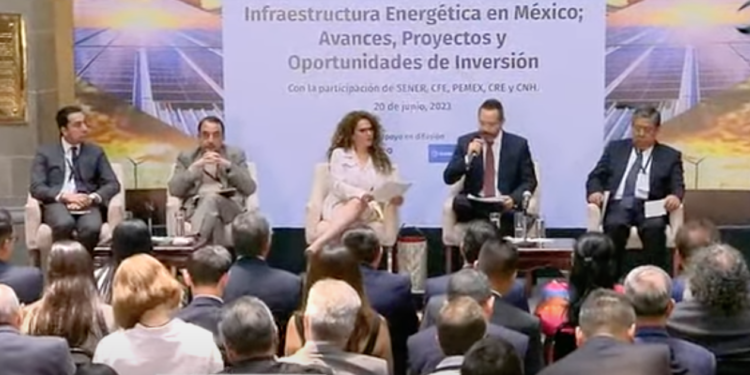 No estamos peleados con el sector empresarial, dice la senadora de Morena, Rocío Abreu