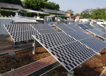 Lanzan IER-UNAM y Solarever programa para ampliar energía agrovoltaica en México