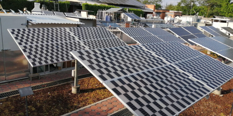 Lanzan IER-UNAM y Solarever programa para ampliar energía agrovoltaica en México