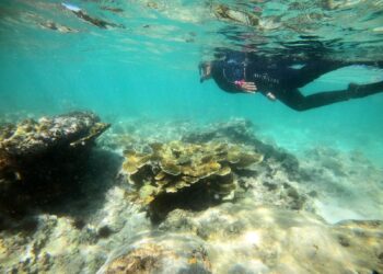 Presenta Repsol México Plan de Sostenibilidad 2023 para apoyar a las comunidades 