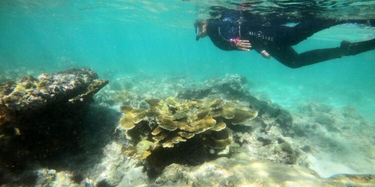 Presenta Repsol México Plan de Sostenibilidad 2023 para apoyar a las comunidades 