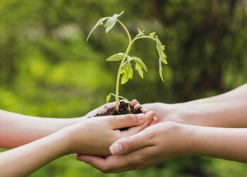 bei nafin union europea ssustentabilidad