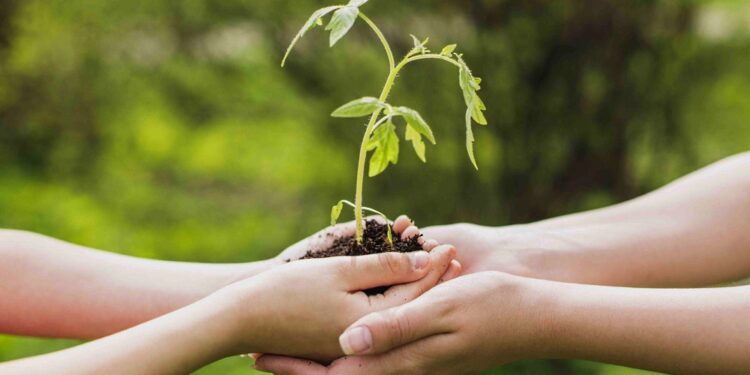 bei nafin union europea ssustentabilidad