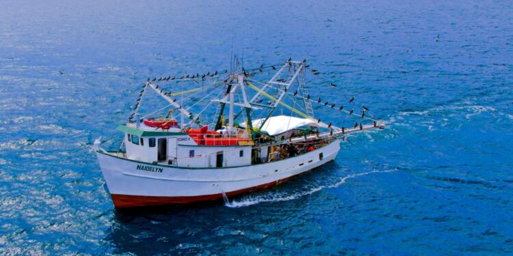 1 afectacion derrame petrolero