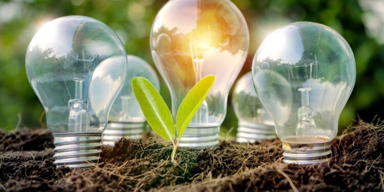 1 coparmex foro liz limpia para todos los mexicanos