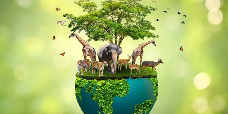 2 enel biodiversidad