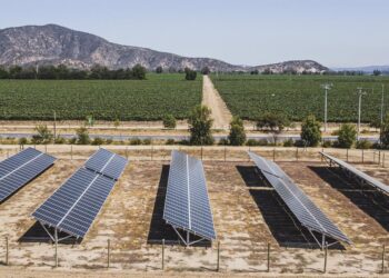 Esta marca produce vinos con electricidad 100% renovable