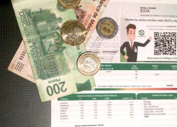 1 subsidio electrico sonora cfe