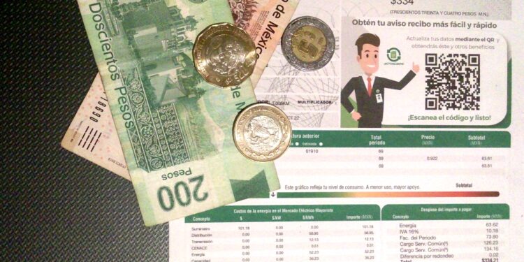 1 subsidio electrico sonora cfe