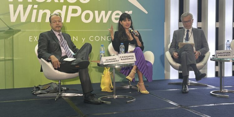Urge acelerar instalación de capacidad eólica