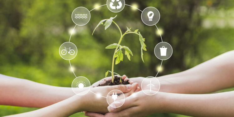 Financiamiento, el mayor reto para implementar la Economía Circular en mipymes: GIZ