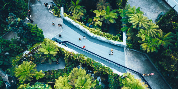 Ciudad de México, entre las 30 ciudades líderes hacia la economía circular