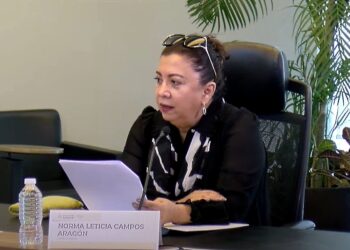 1 cre norma leticia campos - cfenergia