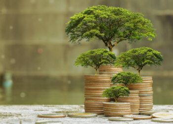 1 wen mariana esquivel issb sostenibilidad