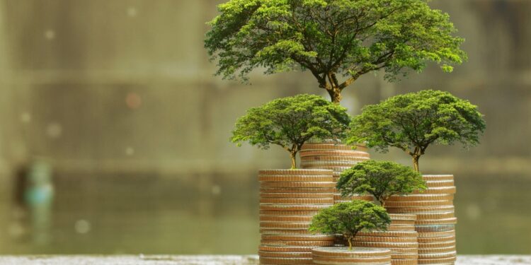 1 wen mariana esquivel issb sostenibilidad