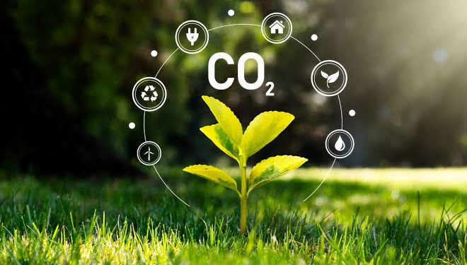 Lanza Wood Mackenzie herramienta de gestión de carbono