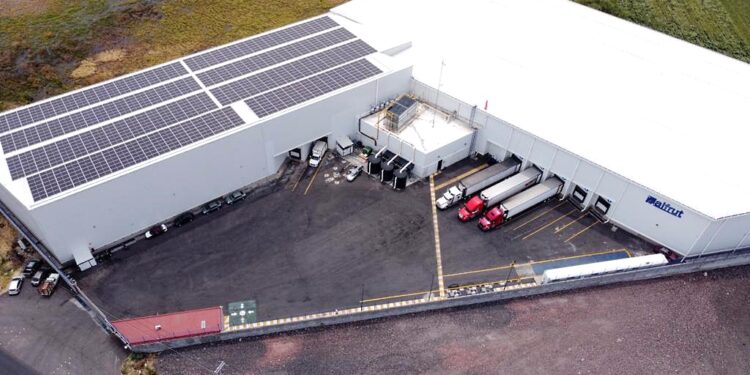 1 alfrut generacion distribuida