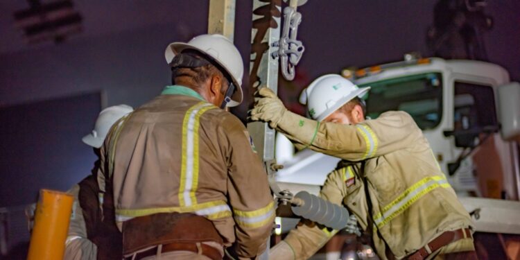 1 cfe ppef 2024 acapulco